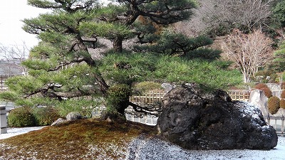 IMGA0475.2018.2.6.jpg