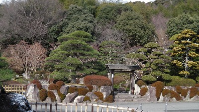 IMGA0476.2018.2.6.jpg