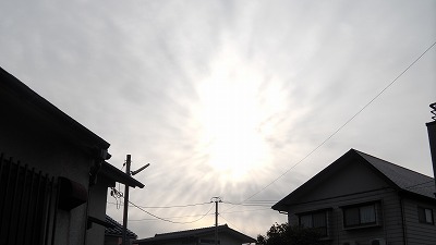 IMGA0653.2018.2.18.jpg