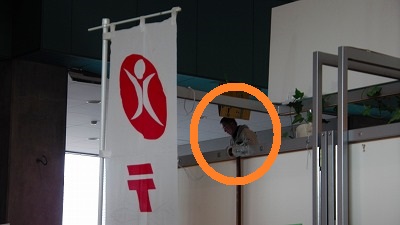 IMGA0763.2018.3.4.jpg