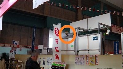 IMGA0764.2018.3.4.jpg