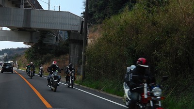 IMGA0834.2018.3.11.jpg