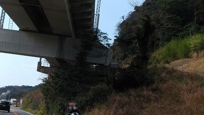 IMGA0835.2018.3.11.jpg