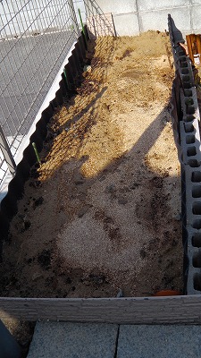 IMGA0847.2018.3.11.jpg