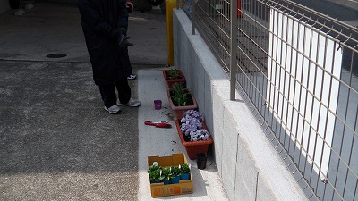 IMGA0854.2018.3.11.jpg