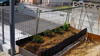 IMGA0857.2018.3.11.jpg