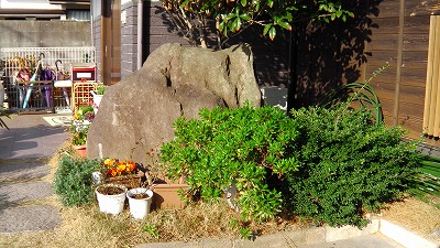 IMGA0899.2018.3.11.jpg