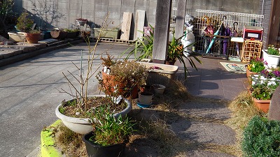 IMGA0901.2018.3.11.jpg