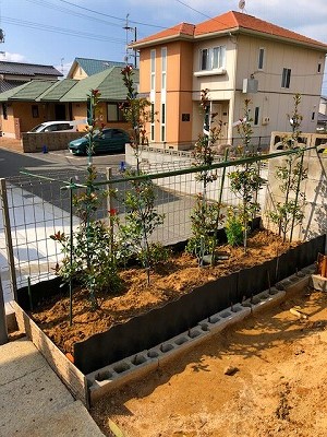 IMG_0236.2018.3.11.jpg