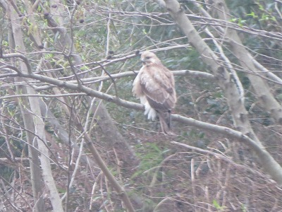 IMG_5878.2018.3.16.jpg