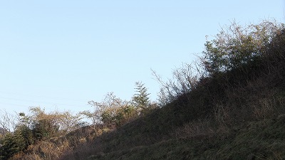 IMGA0953.2018.3.14.jpg