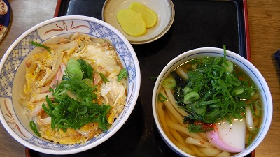 IMGA0948.2018.3.13.jpg