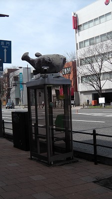 IMGA0918.2018.3.12.jpg
