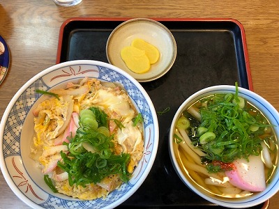 IMG_0280.2018.3.13.jpg
