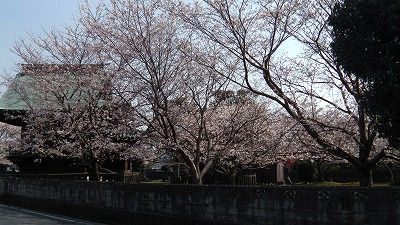 IMGA0177.2018.3.25.jpg
