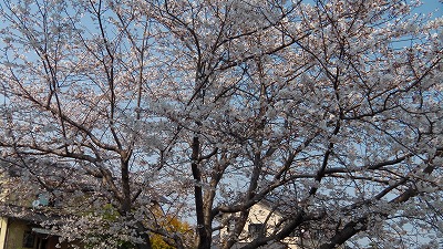 IMGA0182.2018.3.25.jpg