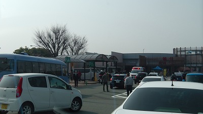 IMGA0137.2018.3.25.jpg