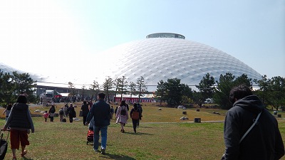 IMGA0071.2018.3.25.jpg