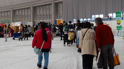 IMGA0079.2018.3.25.jpg