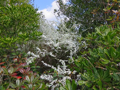 IMG_5899.2018.3.24.jpg
