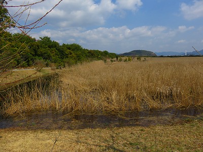 IMG_5905.2018.3.25.jpg