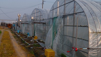 IMGA0194.2018.3.26.jpg