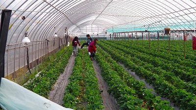 IMGA0200.2018.3.26.jpg
