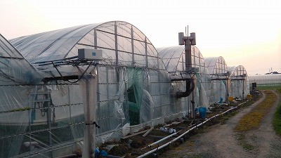IMGA0202.2018.3.26.jpg