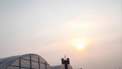 IMGA0204.2018.3.26.jpg