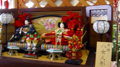 IMGA0140.2018.3.25.jpg