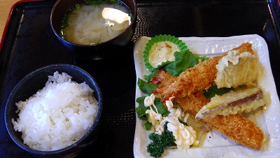 IMGA0264.2018.3.27.jpg