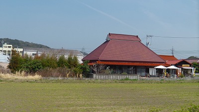 IMGA0272.2018.3.27.jpg