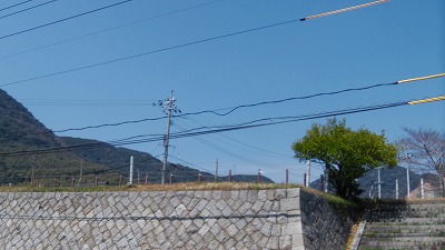 IMGA0286.2018.3.26.jpg