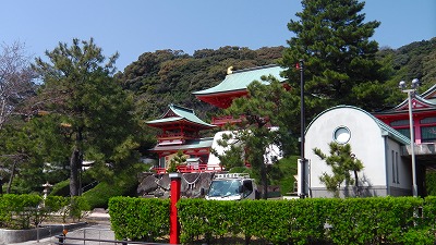 IMGA0300.2018.3.25.jpg