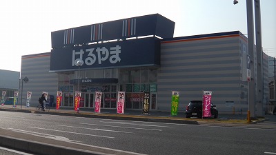 IMGA0242.2018.3.26.jpg