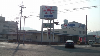 IMGA0248.2018.3.26.jpg