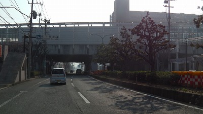IMGA0254.2018.3.25.jpg