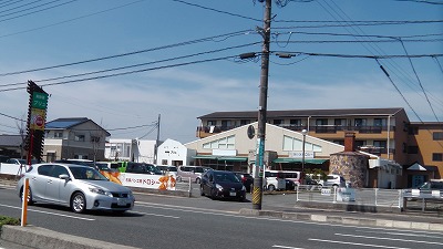 IMGA0323.2018.3.26.jpg
