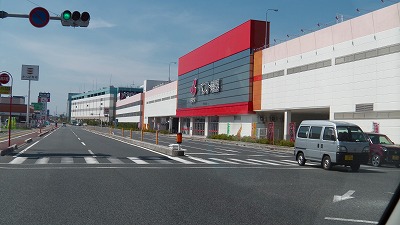 IMGA0333.2018.3.26.jpg