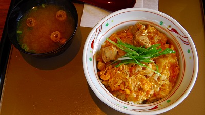 IMGA0152.2018.3.25.jpg