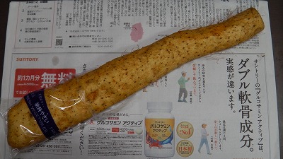 IMGA0348.2018.3.26.jpg