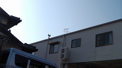 IMGA0349.2018.3.28.jpg