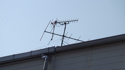 IMGA0351.2018.3.28.jpg