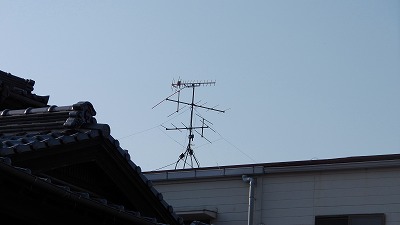 IMGA0353.2018.3.28.jpg