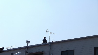 IMGA0360.2018.3.28.jpg