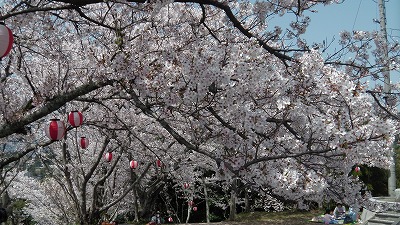 IMGA0515.2018.3.30.jpg