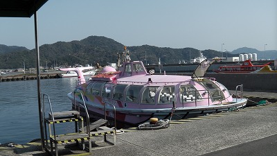 IMGA0409.2018.3.30.jpg
