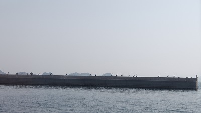 IMGA0416.2018.3.30.jpg