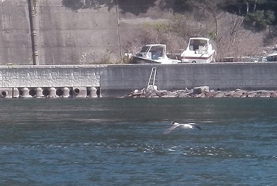 IMGA0419.2018.3.30.jpg
