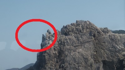 IMGA0426.2018.3.30.jpg